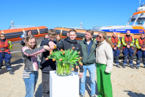 Doop_tulp_original