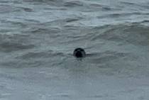 IMG_6808_original
