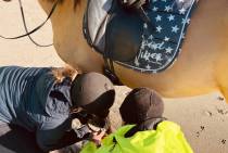 thumbnail_IMG_7466_original