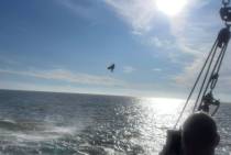IMG-20250625-WA0011_original