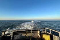 Afbeelding_van_WhatsApp_op_2025-11-08_om_15.10.25_52d27ec2_original