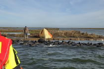 man_op_onbewoond_eiland_original