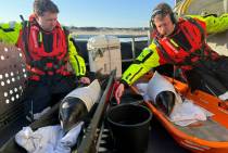 Vervoer met Reddingboot Graaf van Bylandt naar Harlingen.