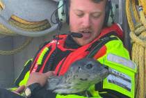 KNRM_Vlieland_24_mei_2026_original