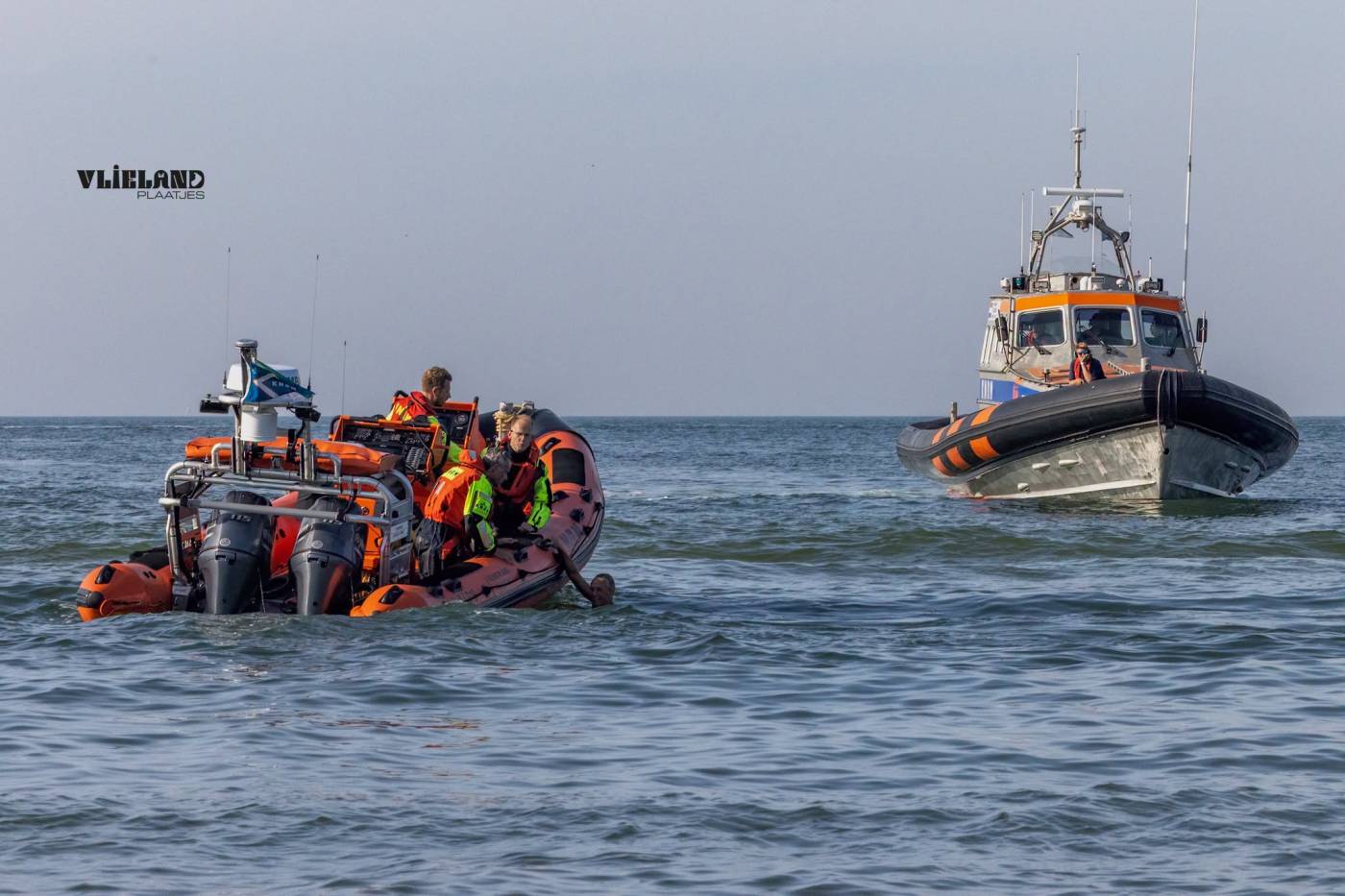Hond gered