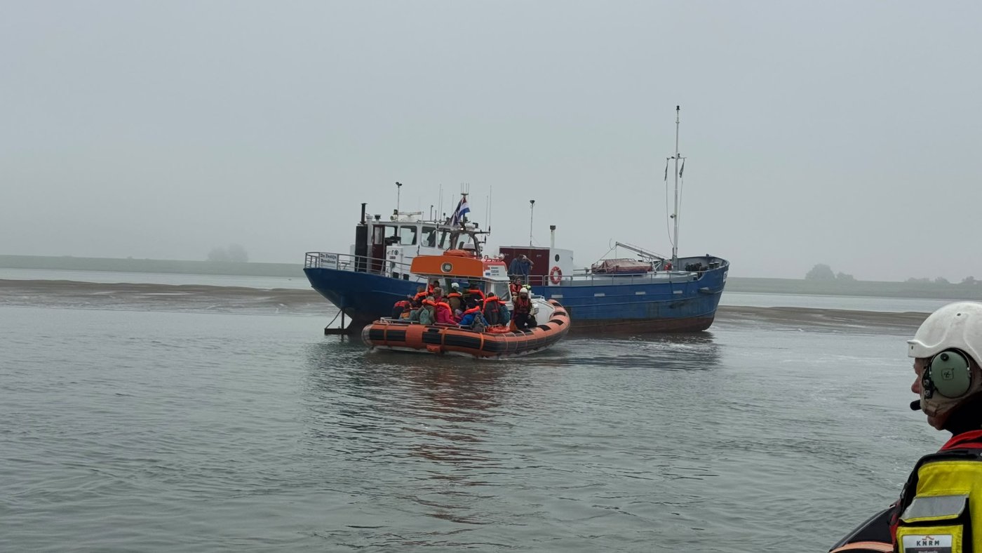 Zeehondentocht loopt vast op zandbank