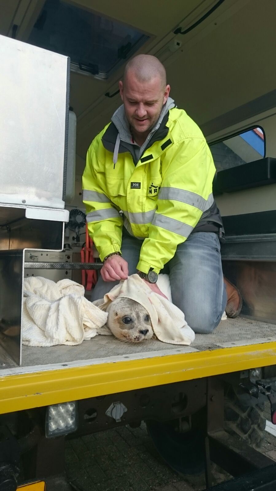 Een verwarde zeehond (huiler) welke door de bemanning vervoerd is naar het buithuis waarna het dier 