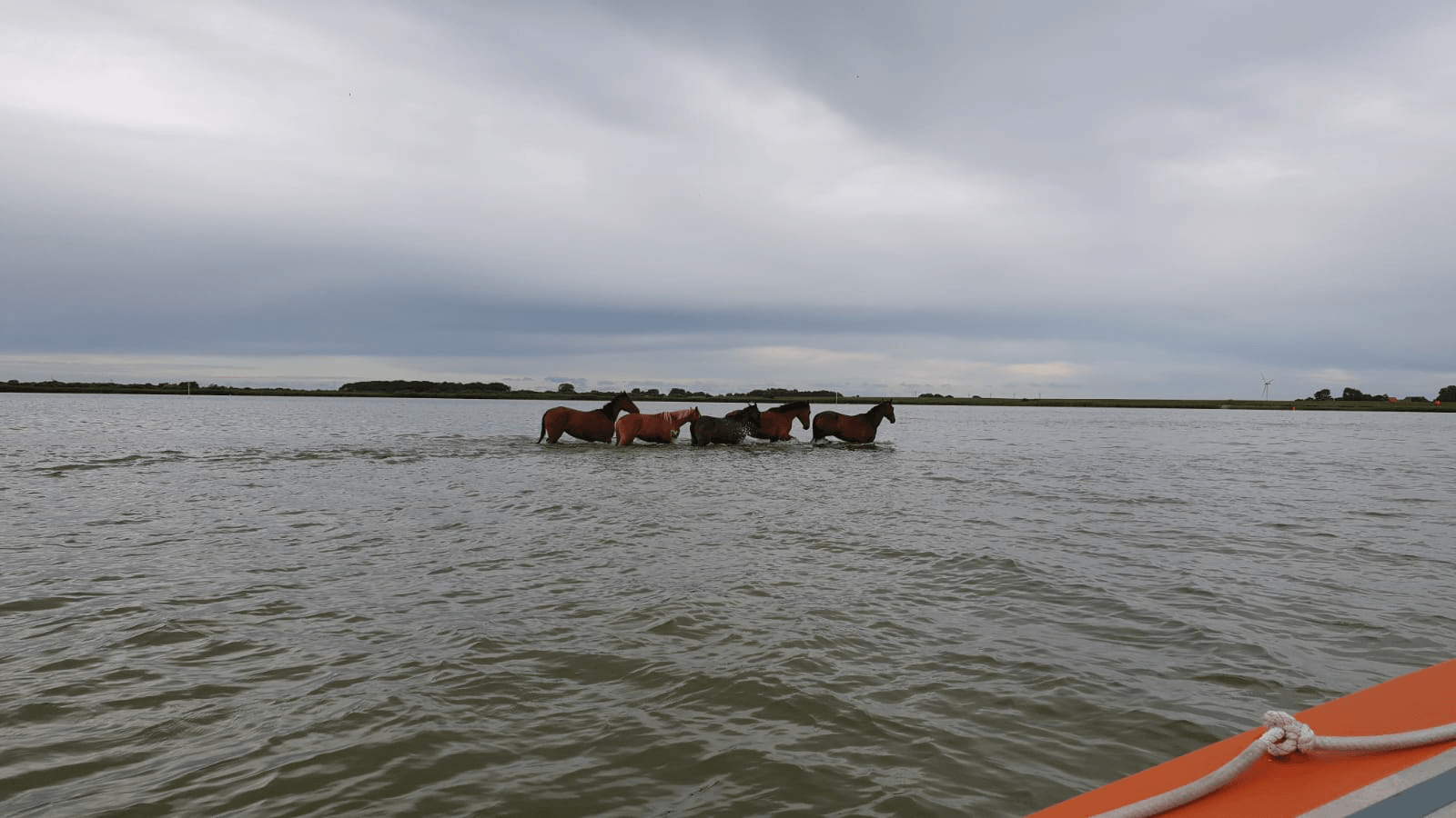 hindeloopen1.jpg