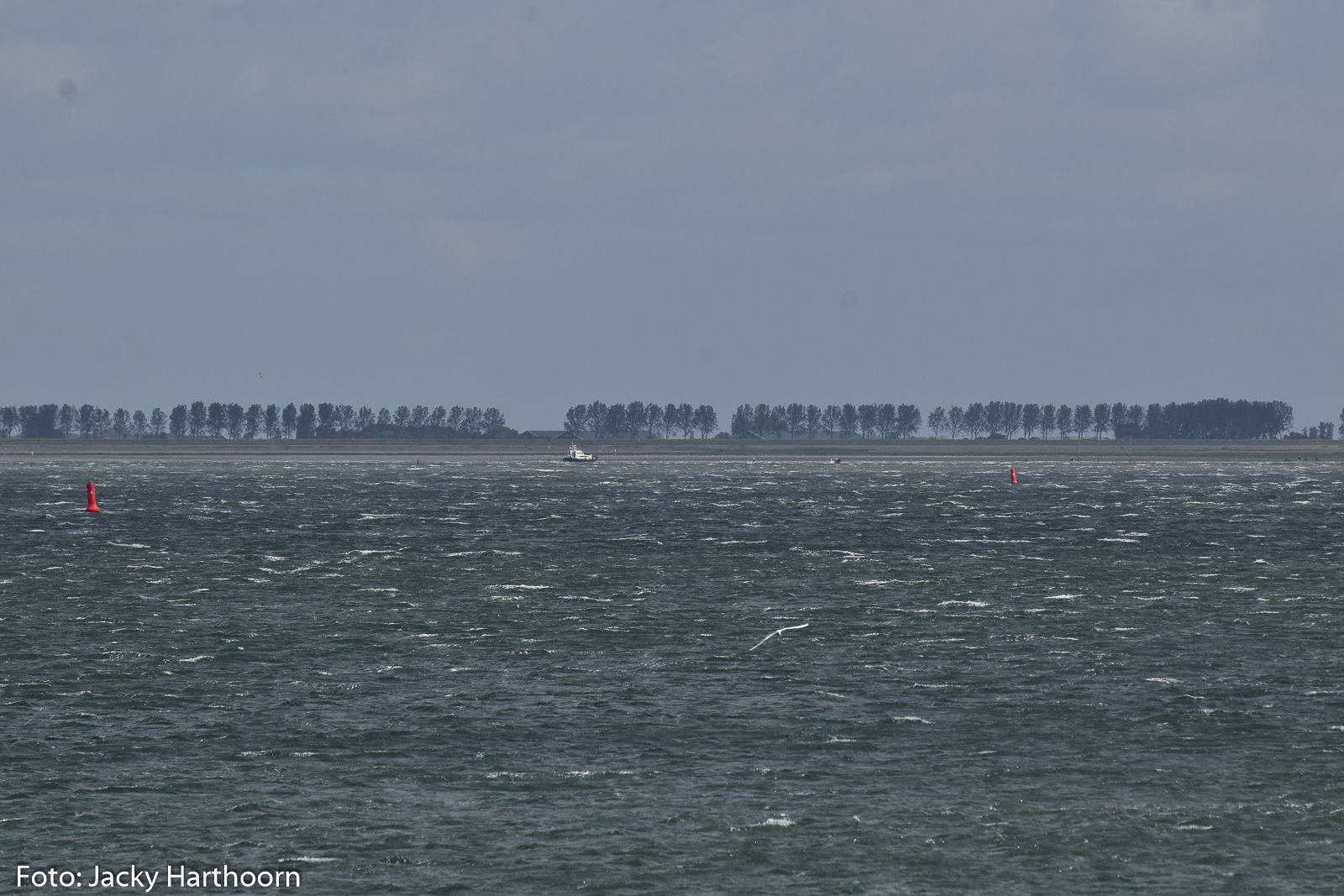 KNRM_HAN_672021_Waterscoutsinproblemen_JackyHarthoorn