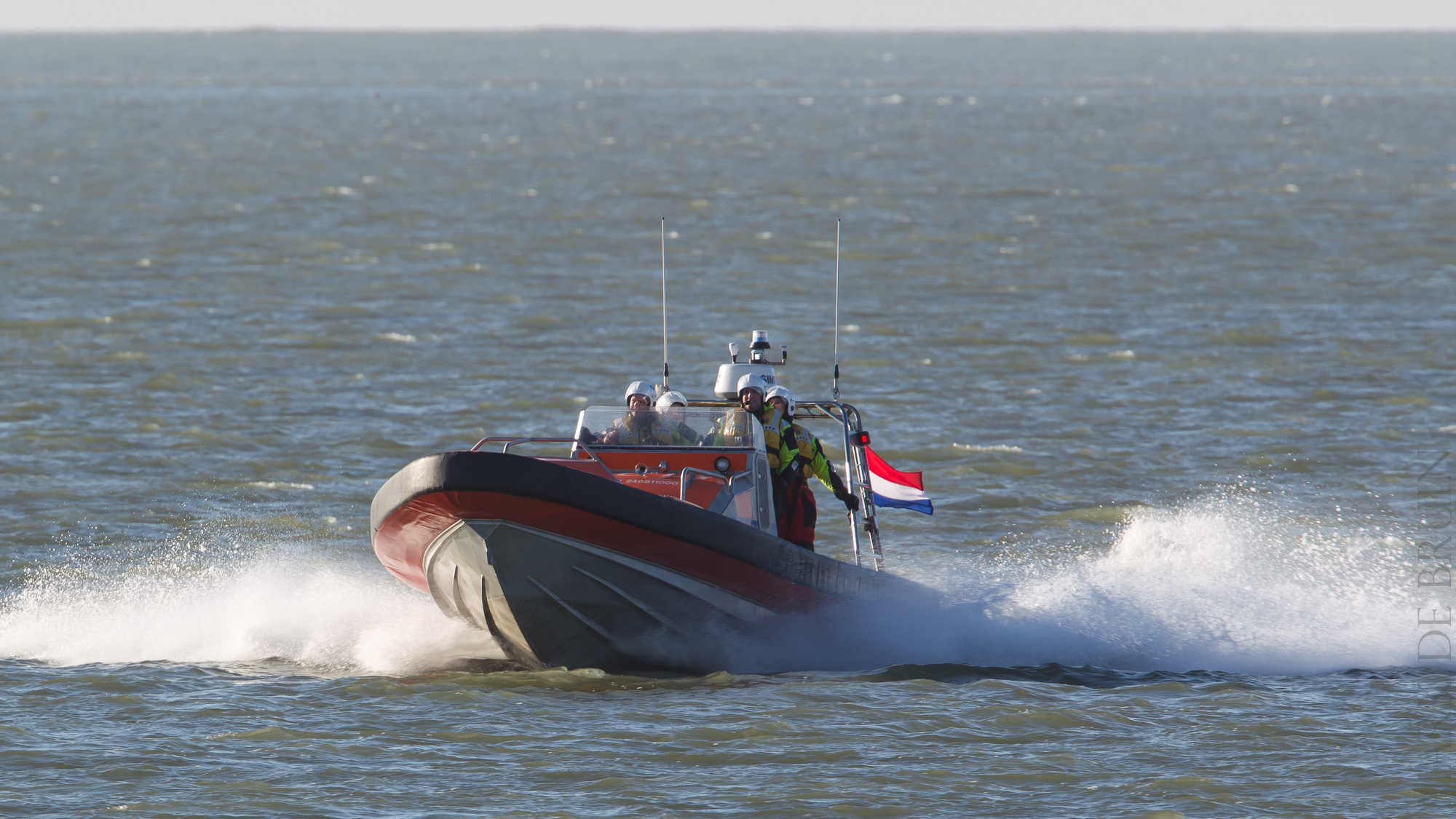 TjepkeEkkelboom1